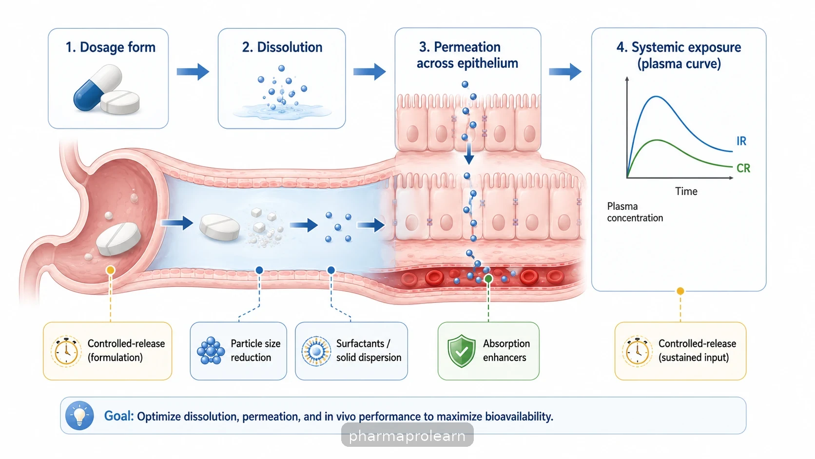 Diagram of the path from dosage form to systemic exposure, showing where particle size, dissolution enhancers, permeability enhancers, and controlled-release act.
